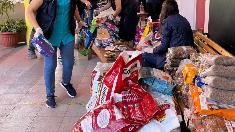 Habitantes de Curacautín denunciaron que donaciones no llegaron a damnificados de Viña del Mar Habitantes de Curacautín denunciaron que donaciones no llegaron a damnificados de Viña del Mar