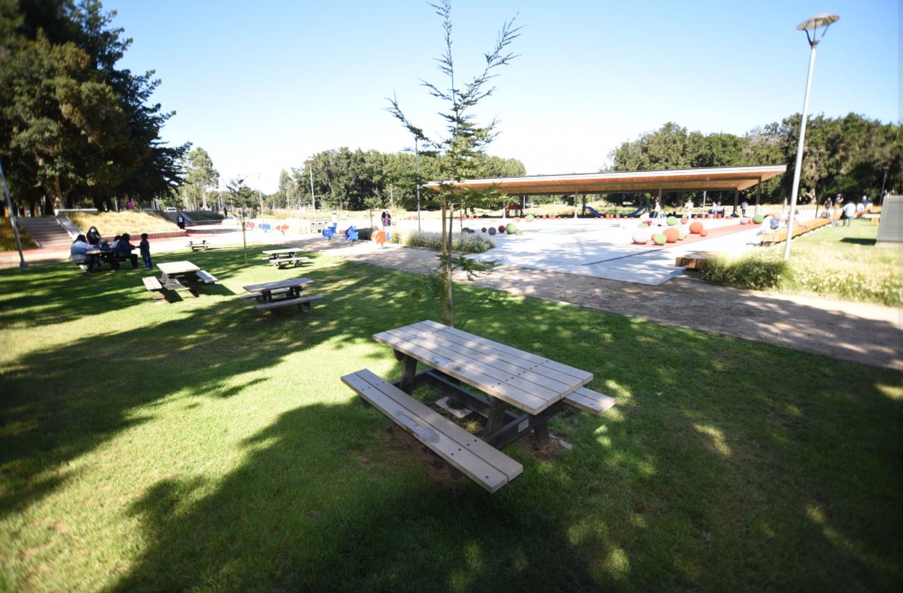 100 árboles nativos serán plantados en parque urbano Isla Cautín de Temuco 100 árboles nativos serán plantados en parque urbano Isla Cautín de Temuco