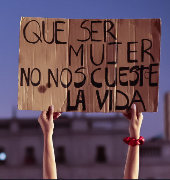 Expertas de la OEA en alerta por femicidios en región de Atacama. Expertas de la OEA en alerta por femicidios en región de Atacama.