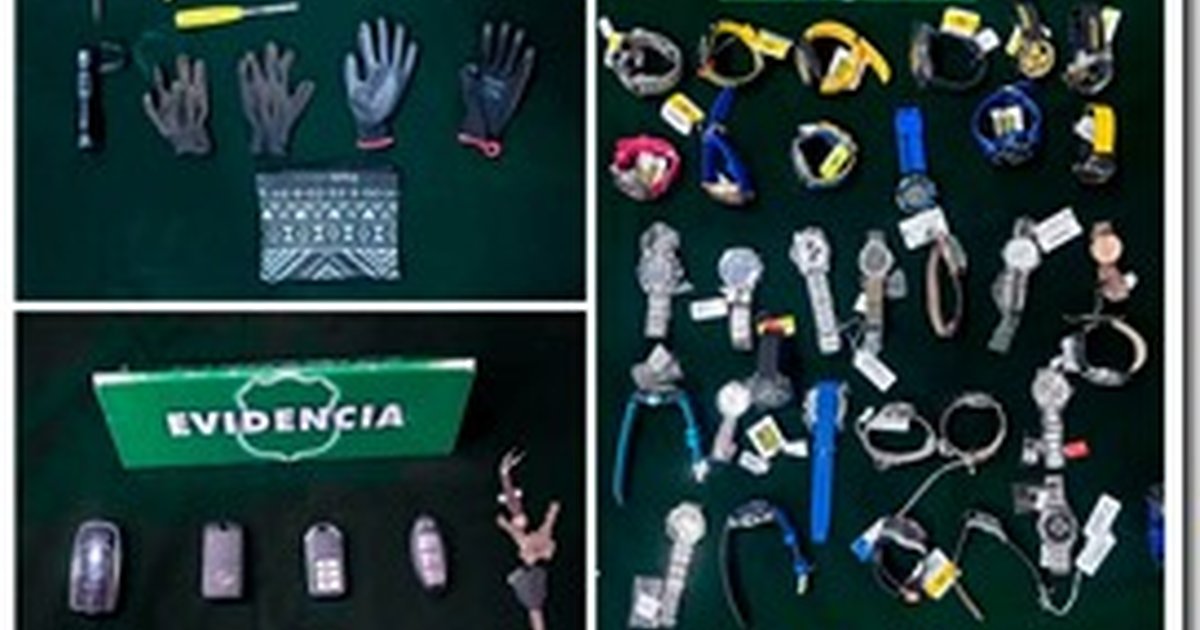 Carabineros desarticula banda criminal dedicada al robo de vehículos y especies en Temuco: delincuentes acumulas 83 detenciones