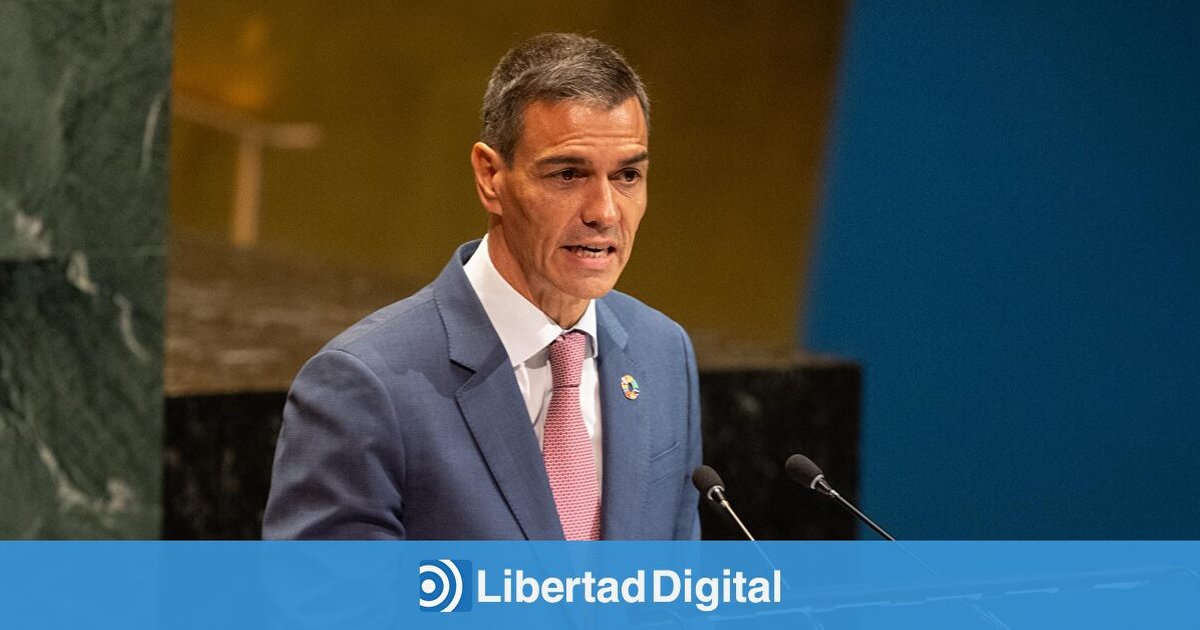 El gran momento de Sánchez como salvador de Gaza en la ONU dura dos minutos: «Tenemos que parar esta matanza» El gran momento de Sánchez como salvador de Gaza en la ONU dura dos minutos: «Tenemos que parar esta matanza»