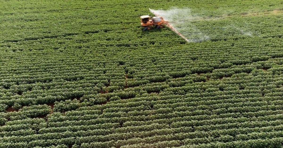 España, tercer mayor exportador de plaguicidas prohibidos en la UE, por detrás de Alemania y Bélgica, según Greenpeace España, tercer mayor exportador de plaguicidas prohibidos en la UE, por detrás de Alemania y Bélgica, según Greenpeace