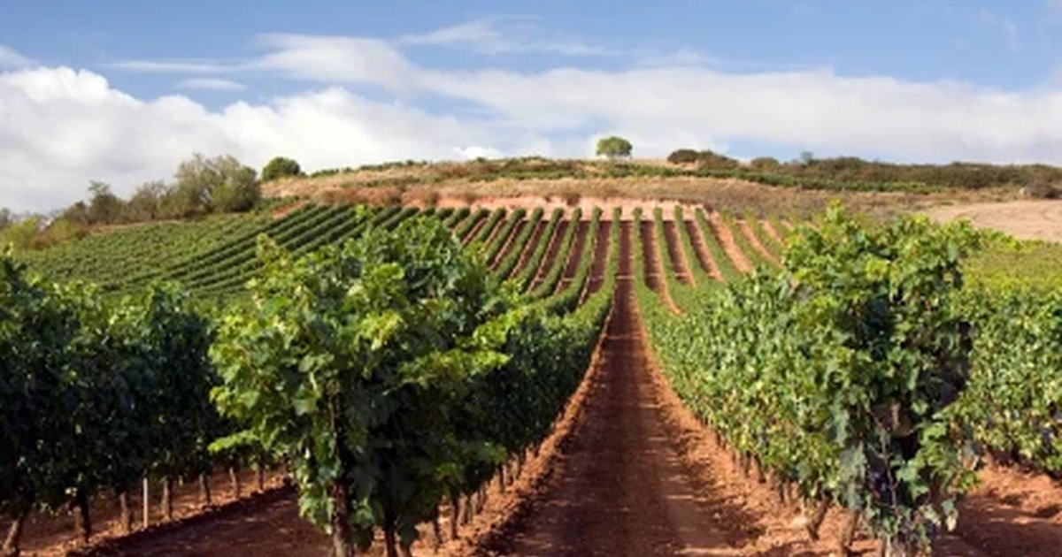 España, en el podio de los más beneficiados por el acuerdo con Mercosur España, en el podio de los más beneficiados por el acuerdo con Mercosur