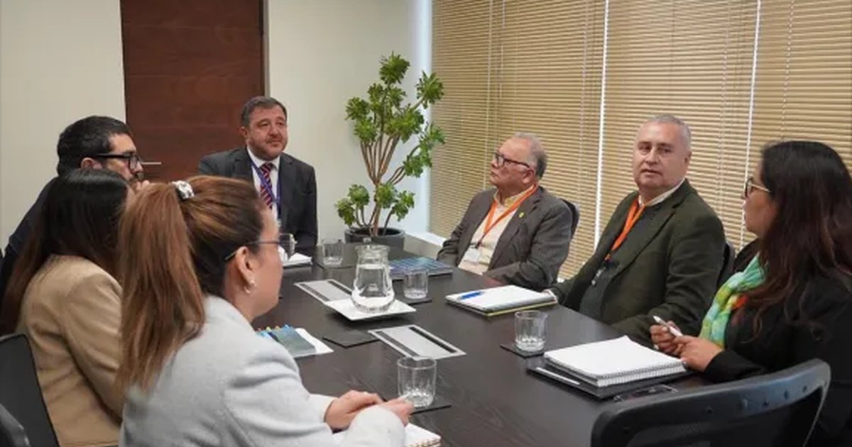 SLEP Elqui solicitó orientaciones a Contraloría por pago de asignaciones a personal de escuelas y liceos SLEP Elqui solicitó orientaciones a Contraloría por pago de asignaciones a personal de escuelas y liceos