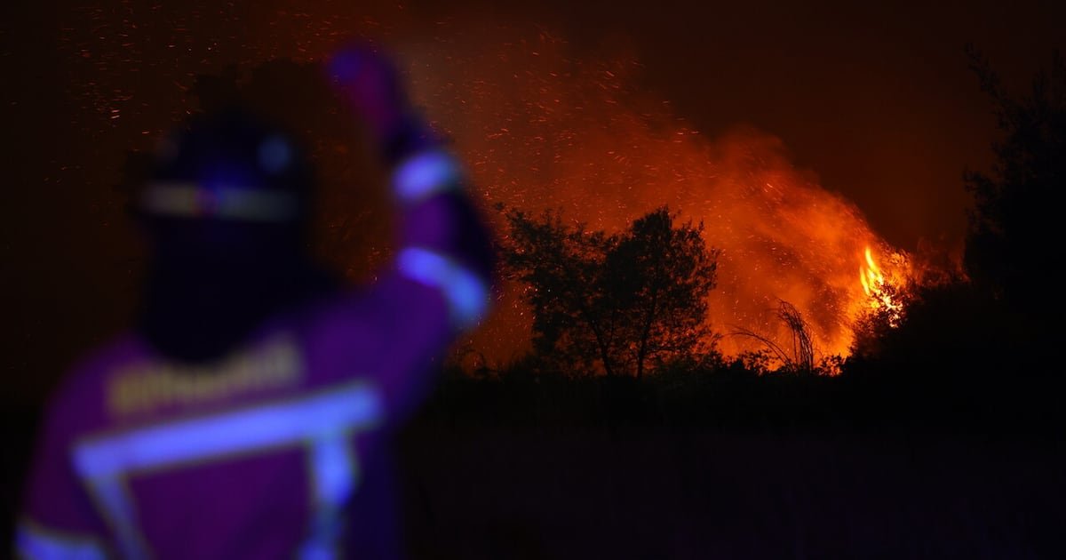 ¿Y el registro nacional de pirómanos? La promesa del exministro Valenzuela que nunca llegó y que Minagri ahora desecha ¿Y el registro nacional de pirómanos? La promesa del exministro Valenzuela que nunca llegó y que Minagri ahora desecha