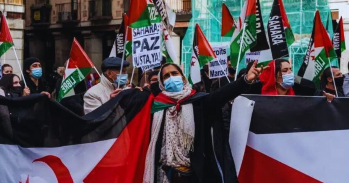 Medio siglo después, la última colonia de África sigue atrapada entre el reconocimiento internacional y el olvido. Marruecos gana terreno, el Polisario pierde aliados Medio siglo después, la última colonia de África sigue atrapada entre el reconocimiento internacional y el olvido. Marruecos gana terreno, el Polisario pierde aliados