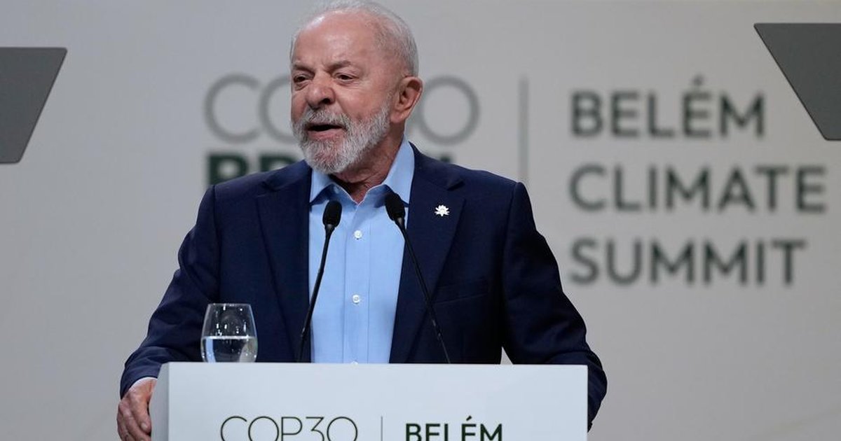 Brasil lanza fondo para proteger los bosques tropicales Brasil lanza fondo para proteger los bosques tropicales