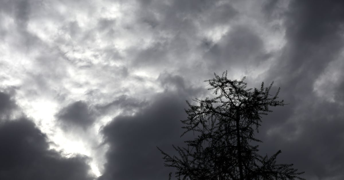 Advierten posibles vientos «arrachados y tornádicos» desde La Araucanía hasta Los Lagos Advierten posibles vientos «arrachados y tornádicos» desde La Araucanía hasta Los Lagos