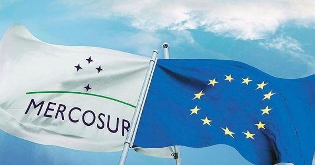 Limitaría exportaciones: más de 40 entidades del agro rechazaron una posible salvaguardia agrícola de la Unión Europea