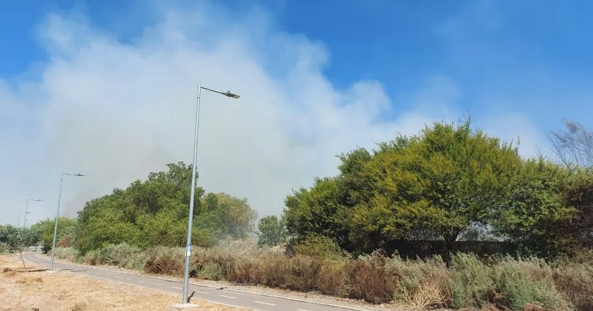 Ovalle: Incendio forestal en avenida Costanera fue controlado