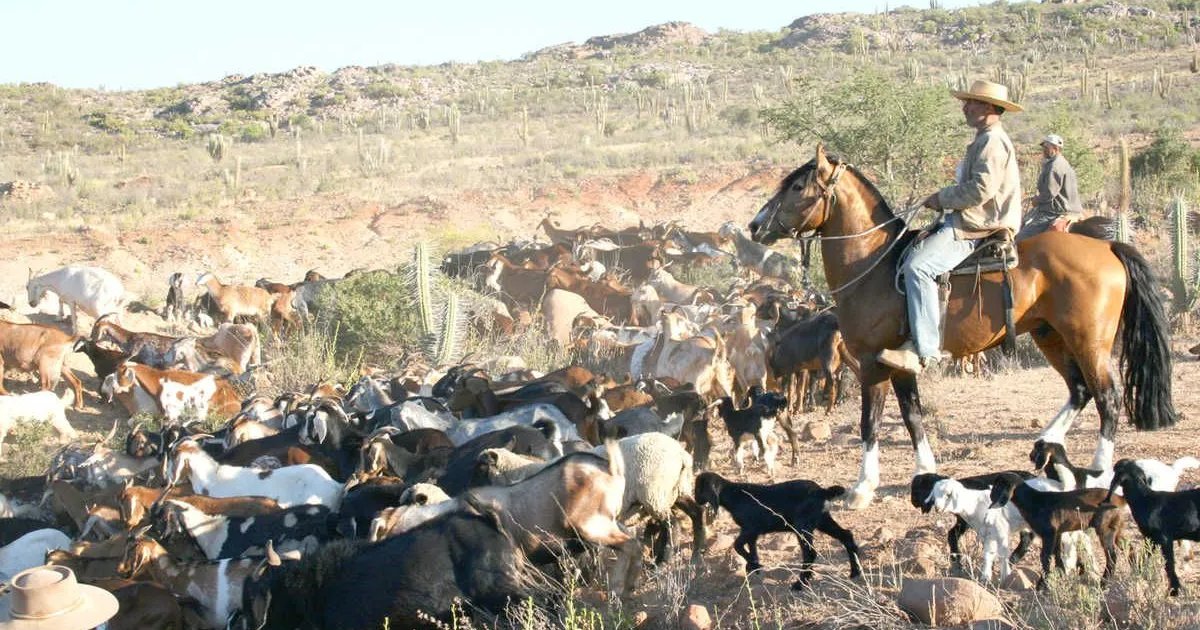 Alcalde de Salamanca solicita a organismos del Estado coordinar veranadas Alcalde de Salamanca solicita a organismos del Estado coordinar veranadas