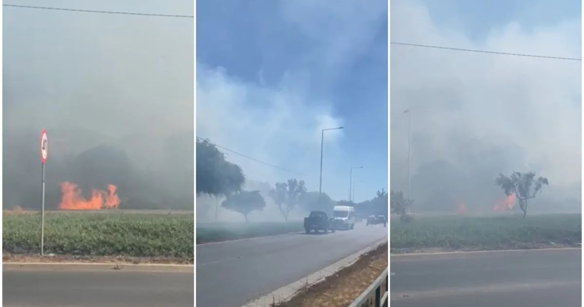 Declaran Alerta Amarilla en Ovalle por incendio forestal