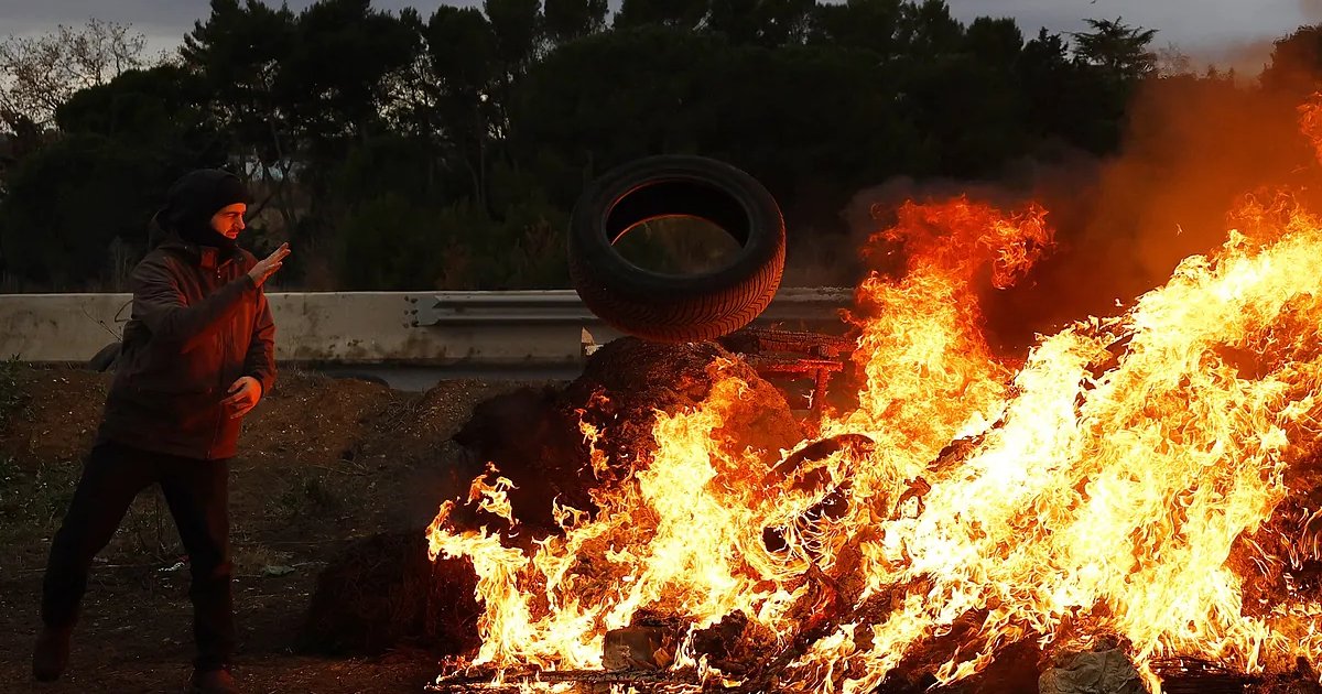 Francia acelera para descarrilar el acuerdo con Mercosur mientras su campo protesta por el sacrificio de ganado Francia acelera para descarrilar el acuerdo con Mercosur mientras su campo protesta por el sacrificio de ganado