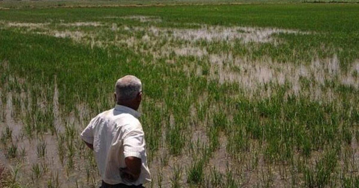 Meloni se une a Macron y pide retrasar la firma del acuerdo de la UE con el Mercosur al año que viene Meloni se une a Macron y pide retrasar la firma del acuerdo de la UE con el Mercosur al año que viene