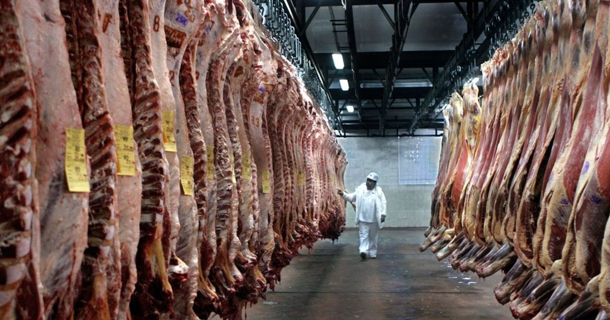 La UE reforzará sus fronteras frente a pesticidas, antibióticos y hormonas procedentes de Mercosur La UE reforzará sus fronteras frente a pesticidas, antibióticos y hormonas procedentes de Mercosur