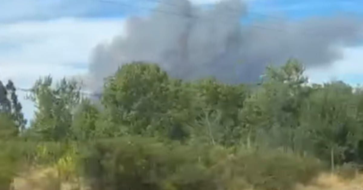 Nuevo incendio forestal en Cauquenes suma cuarta alerta roja a nivel nacional en 4 horas