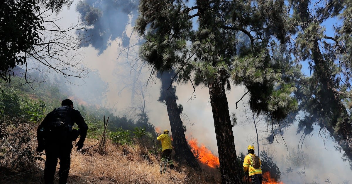 Autoridades reporta que seis incendios forestales se combaten a nivel país