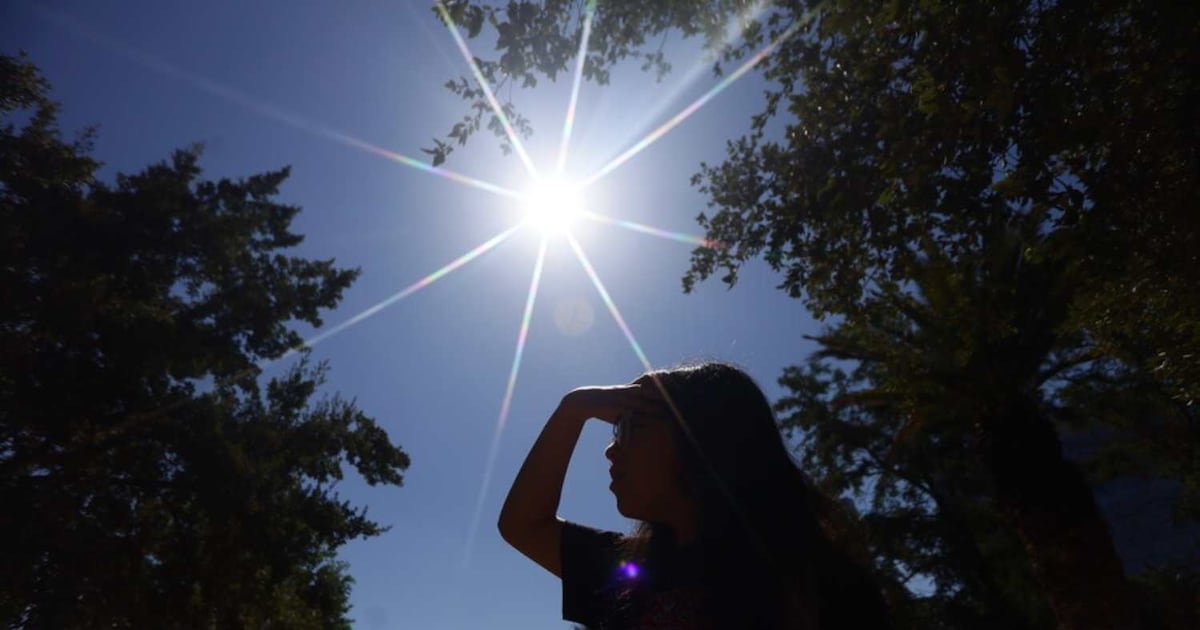 Entre 34 y 36°C: declaran alerta roja por calor extremo en provincia de Malleco