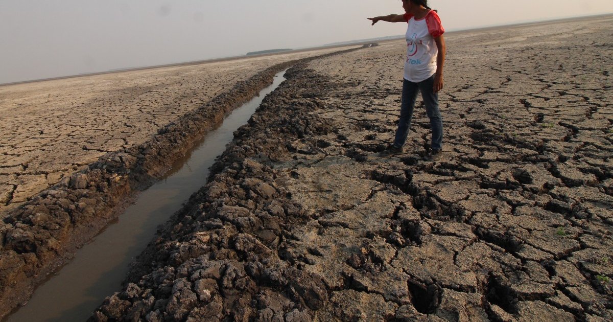 La ONU declara al mundo en bancarrota hídrica; ¿México es parte de esta ‘quiebra’?