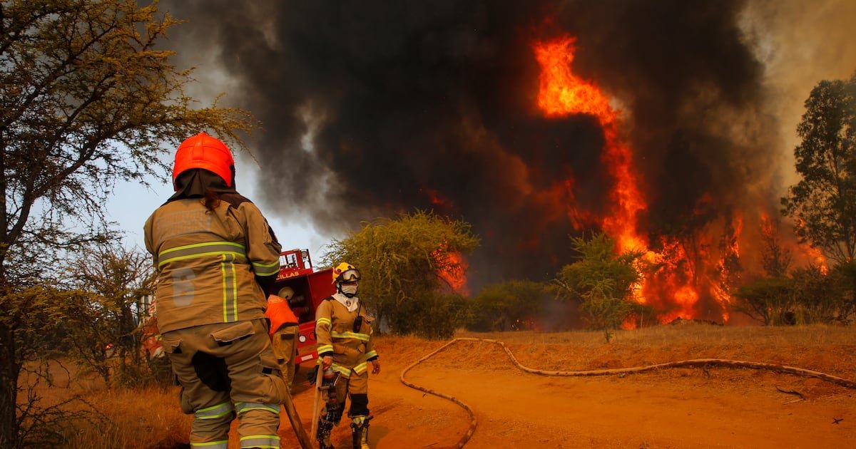 Incendios forestales en Ñuble, Biobío y La Araucanía: Conaf confirma que 15 siniestros se mantienen en combate