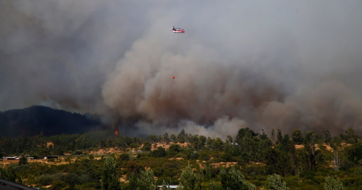 Conaf se encuentra combatiendo doce incendios forestales en seis regiones del país