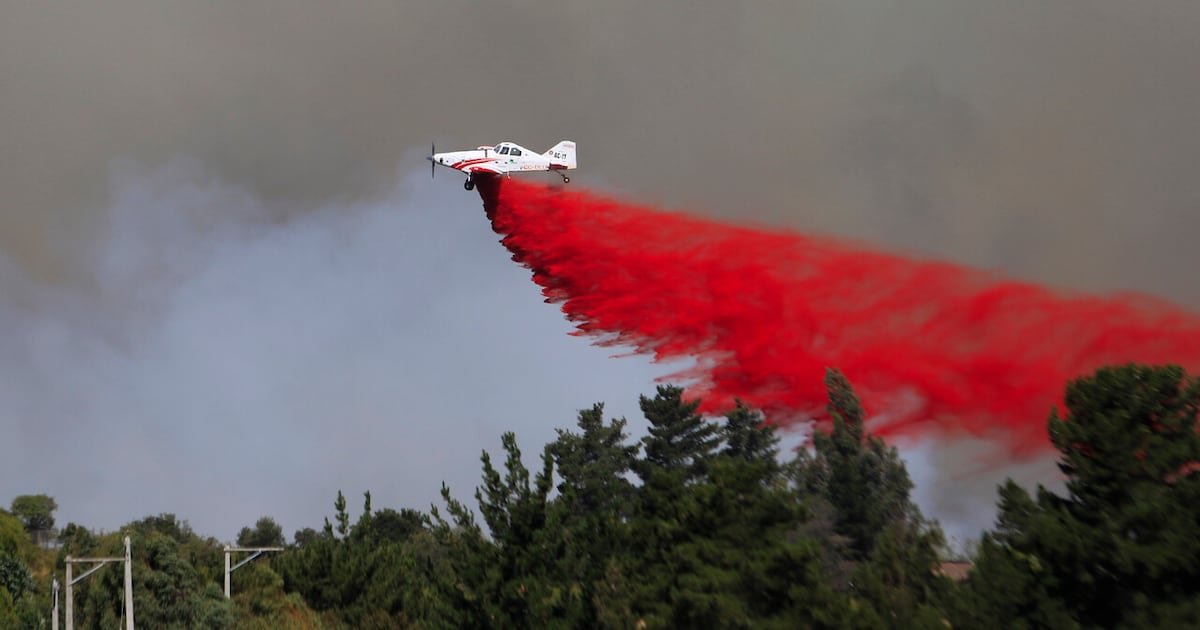 Conaf entrega balance de incendios forestales en combate: tres comunas se mantienen con alerta roja