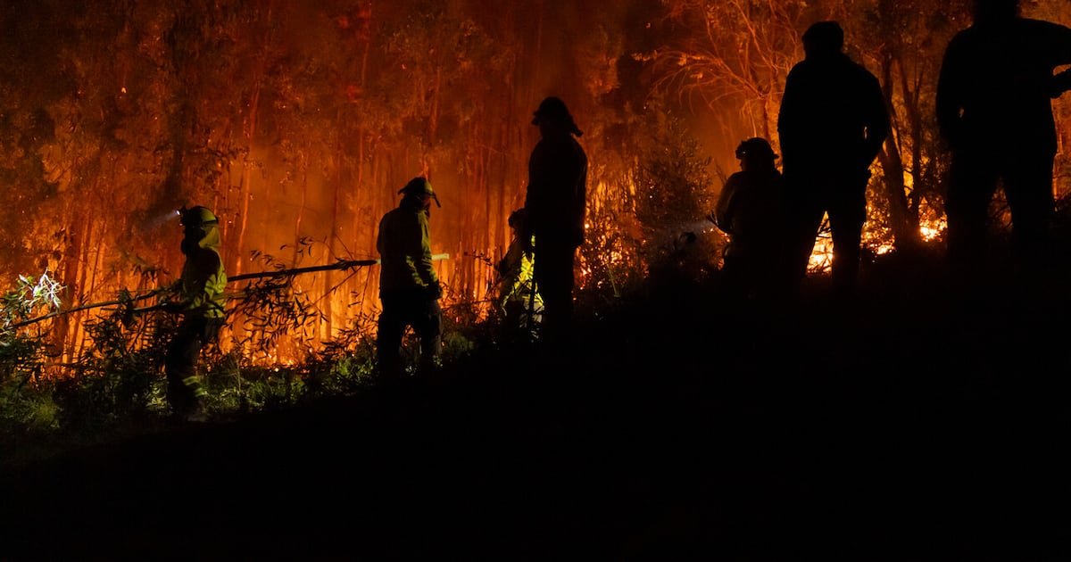 Biobío, Ñuble y La Araucanía suman más del 75% de las hectáreas quemadas por los incendios forestales en 2025-2026 Biobío, Ñuble y La Araucanía suman más del 75% de las hectáreas quemadas por los incendios forestales en 2025-2026