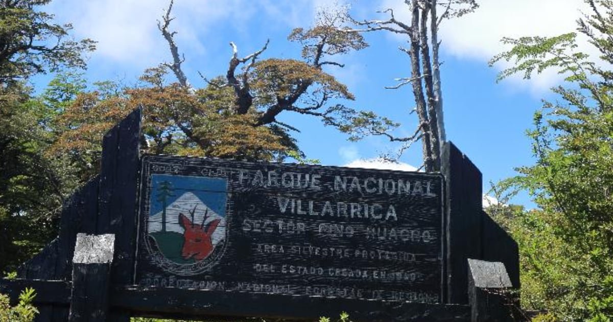 Buscan a dos hombres de 56 y 72 años extraviados en el Parque Nacional Villarrica