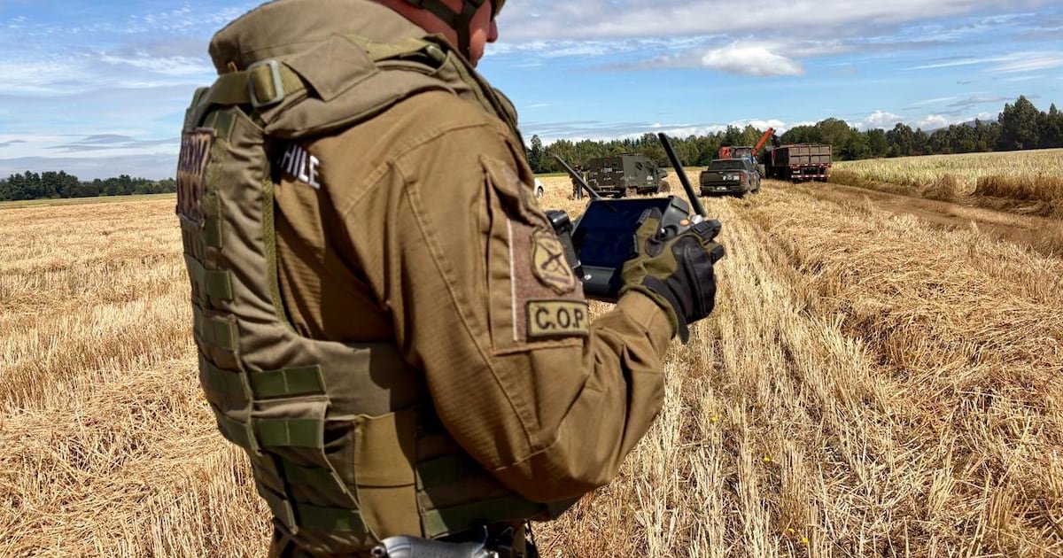 Con cerca de 25 mil hectáreas cosechadas: Plan de Seguridad Agroalimentaria en La Araucanía finaliza con 14 detenidos